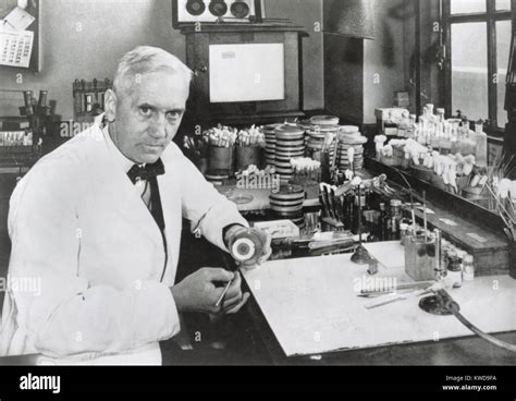 Fleming nobel prize winners hi-res stock photography and images - Alamy