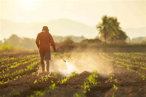 Paraquat Lawsuit: Filing a Parkinson’s Disease Claim