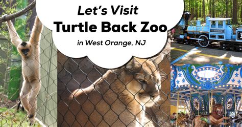 A Review of The Turtle Back Zoo: Classic New Jersey Day Trips | The Jersey Momma