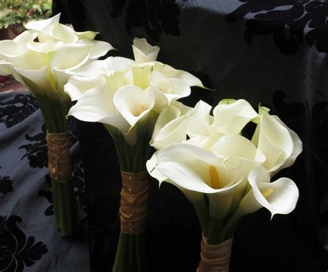 Arum Lily Bouquets | Calla lillies bouquet, Lily bouquet, Arum lily