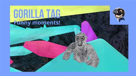 Gorilla Tag | Funny Moments! | - YouTube