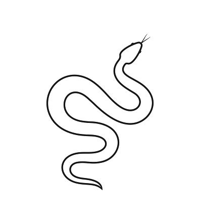 Snake Outline Isolated Snake On White Background Stock Illustration - Download Image Now - Snake ...