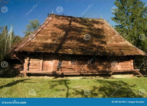 The old house in wood stock photo. Image of beaten, nature - 48742190