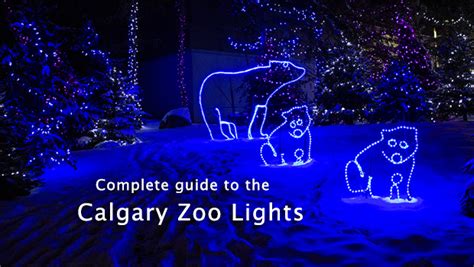 Complete Guide To Calgary ZOOLIGHTS | crackmacs.ca