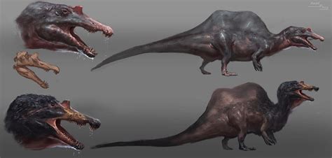 Spinosaurus concept sketches by RAPHTOR on DeviantArt