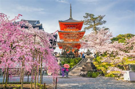 6 Best Temples to See Cherry Blossoms in Kyoto - Great Places in Kyoto for Cherry Blossoms – Go ...