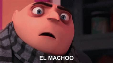 El Macho Gru GIF - El Macho Gru Despicable Me - Découvrir et partager ...