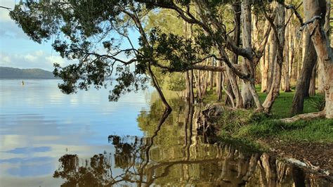 Myall Lakes National Park camping expedition