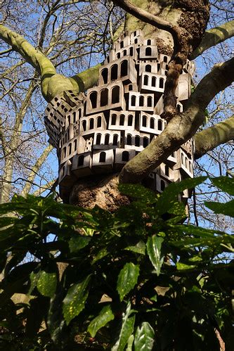 BIRDHOUSES IN YOUR SOUL | Martin Hearn | Flickr