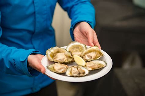 Bluff Oyster Festival 2024 - The Lodges At Transport World