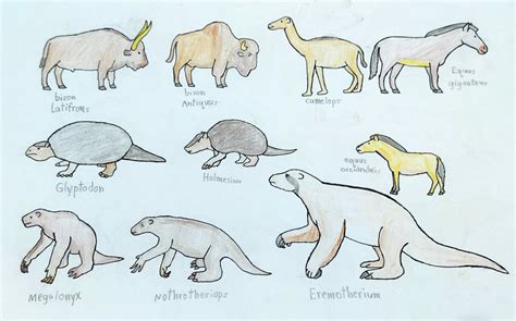 north american Pleistocene Megafauna 1\3 by torm28 on DeviantArt