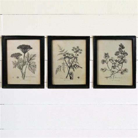 Black and White Botanical Prints, Set of 3 | Framed botanical prints, Botanical prints ...