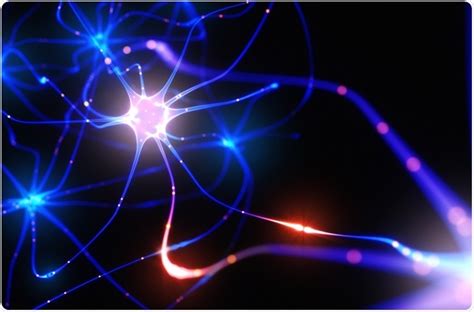 Optogenetics Applications