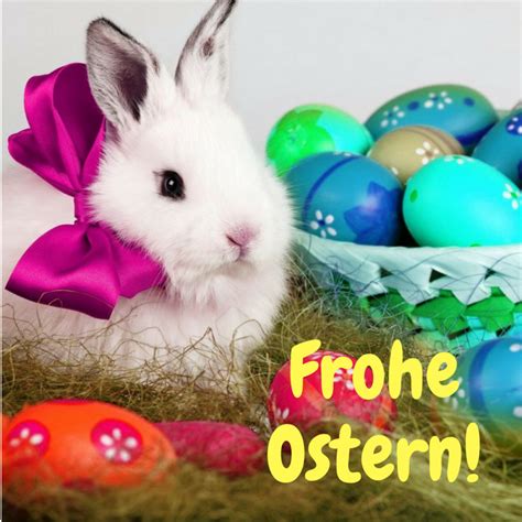 50+ schöne Frohe Ostern Bilder: Ostergrüße kostenlos, cool und lustig!