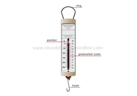 [DIAGRAM] Scientific Diagram Of A Spring Scale - MYDIAGRAM.ONLINE