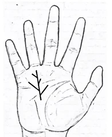 Line of Fame,Luck And Wealth-Sun Line/Apollo Line In Palmistry (Part 2)