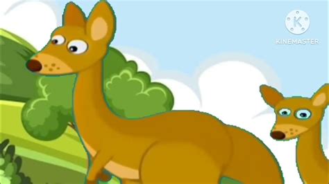 babytv animals learning animals and their colours rhinoceros - YouTube