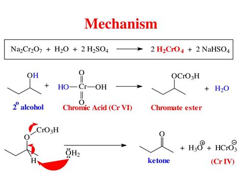 Tscl Mechanism