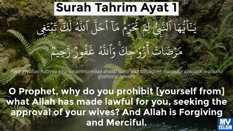 Surah Tahrim Ayat 8 (66:8 Quran) With Tafsir - My Islam