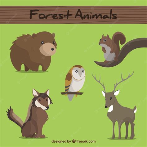 Free Vector | Forest animals