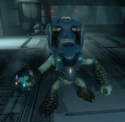 Unggoy Heavy - Halopedia, the Halo wiki