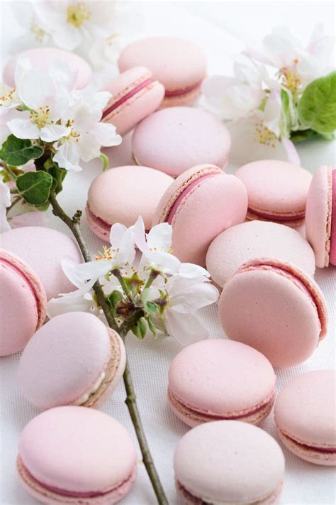 Macarons | Macaroon wallpaper, Cute food wallpaper, Macarons