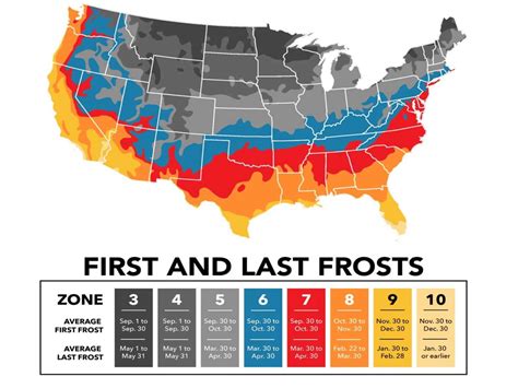 First Frost Date By Zip Code 2024 Delhi - Edita Gwenora