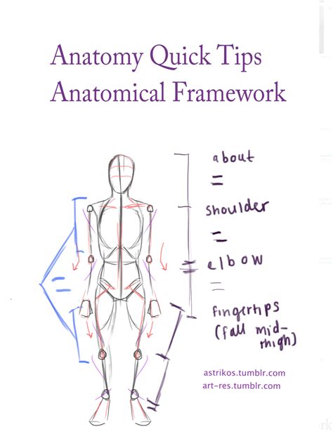 Human Anatomy Painting