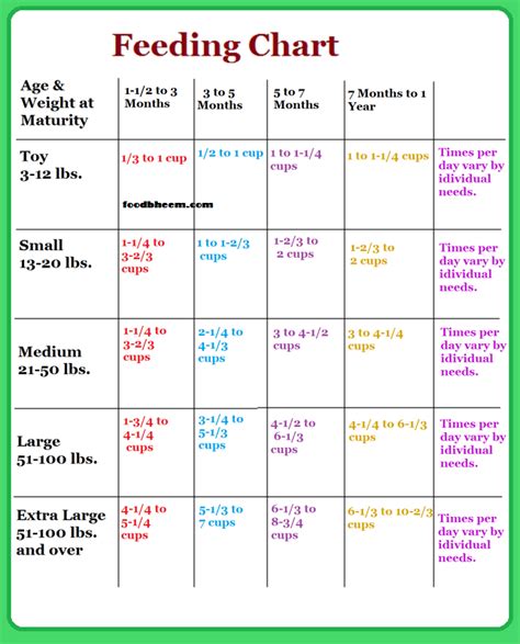 Dog Diet Chart and Schedule | Puppy feeding schedule, Dog feeding schedule, Puppy training tips