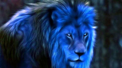 Blue Lion Wallpapers - Top Free Blue Lion Backgrounds - WallpaperAccess