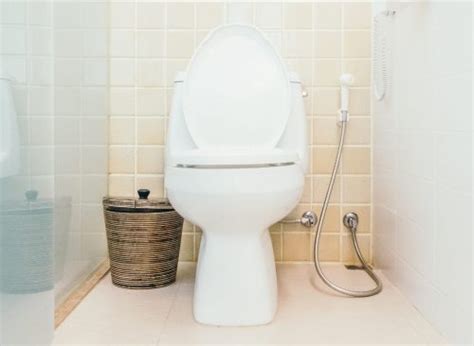 How To Replace Flush Valve Seal In A Toilet? – Pick A Bathroom