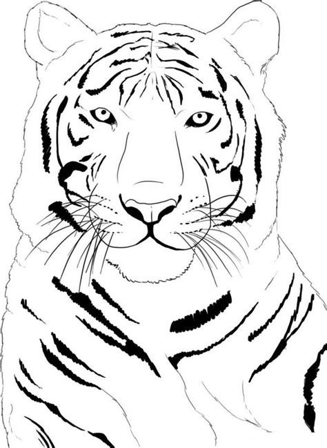 Free Printable Tiger Coloring Pages For Kids in 2020 | Tiger drawing ...