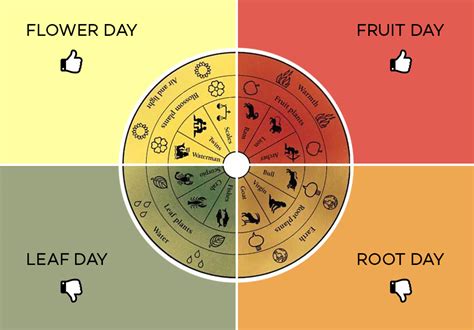 Fruit Day vs. Root Days: Wine Tasting by the Lunar Calendar