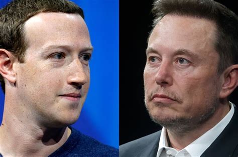 Meta vs Twitter: Mark Zuckerberg and Elon Musk want to fight in a 'cage ...