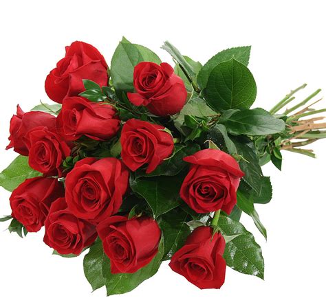 Red Rose Bouquet · UK Flower Delivery · Canada Flowers