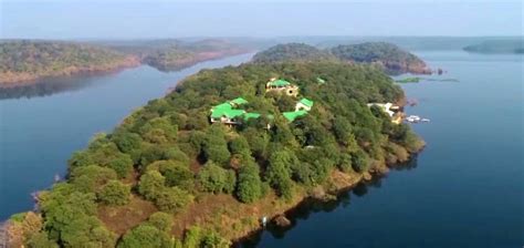 Madhya Pradesh Jungle Package 3N/4D - Pluto Tour