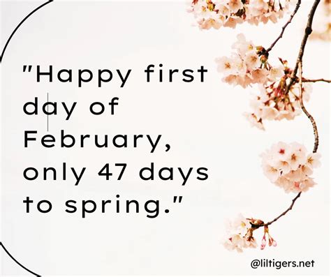 180 Inspiring Hello February Quotes - Lil Tigers