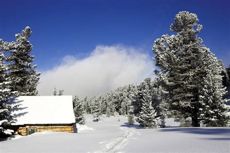 Winter Breaks The Black Forest | Discount Coach Holidays