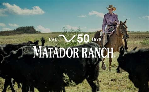 Cattle | Matador Ranch