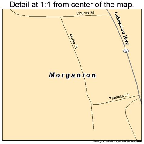 Morganton Georgia Street Map 1352724