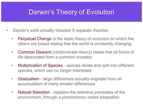 Darwin's Theory of Evolution