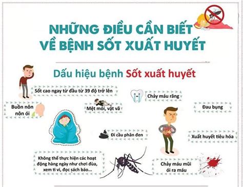 Phòng bệnh Sốt xuất huyết – CDC An Giang