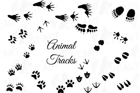 Animal Tracks, Woodland Animals footprints Clipart pack (109435 ...