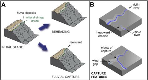 (A) Diagram showing the process of beheading and fl uvial capture from ...