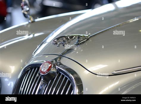 Jaguar car logo Stock Photo - Alamy