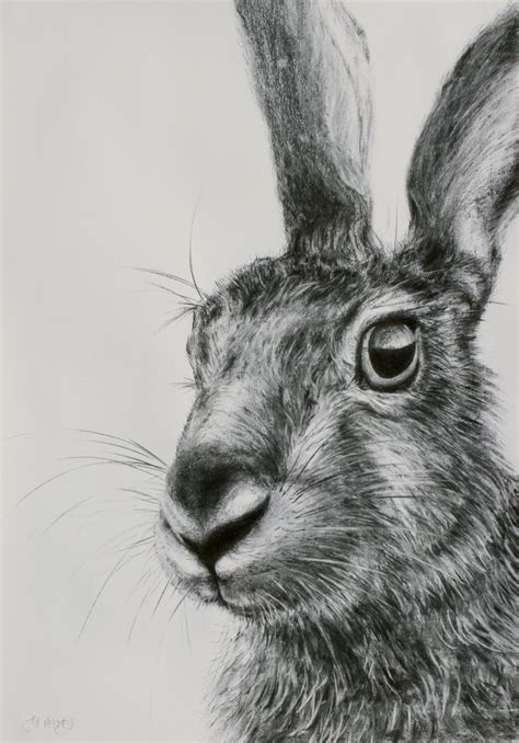 hare artwork | JM hare drawing 6 « Contemporary Art Gallery ...