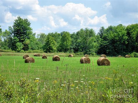 Ohio Countryside Photograph by Cortney Price