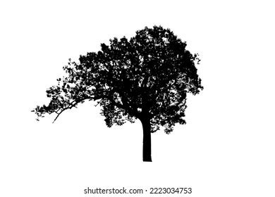 Tree Silhouette On White Background Stock Illustration 2223034753 | Shutterstock