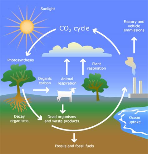 Expedition Earth: Carbon dioxide