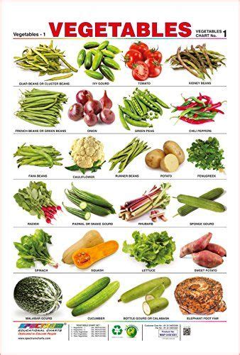 Spectrum Pre - School Kids Learning Educational Poster Vegetables Name Wall Chart | Vegetable ...